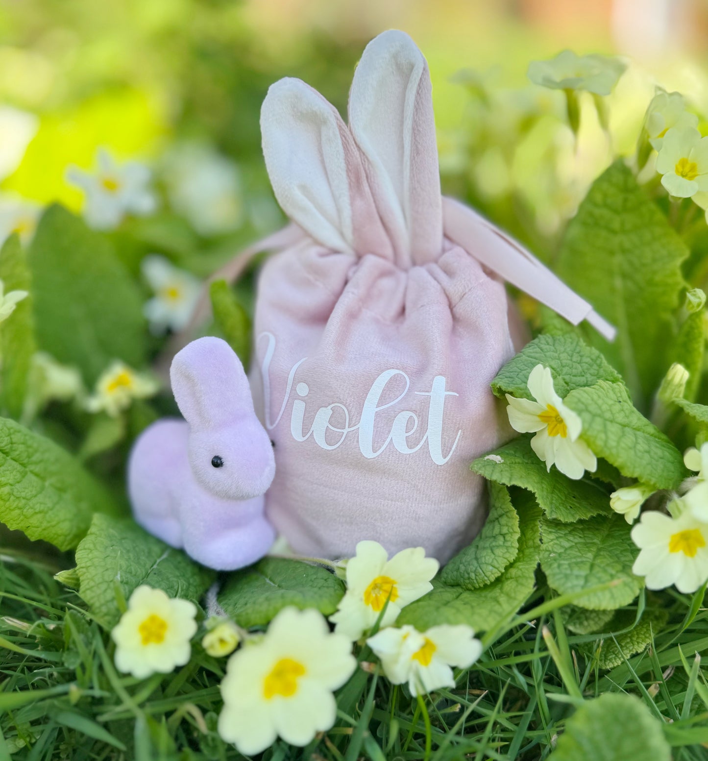Easter bunny gift bag