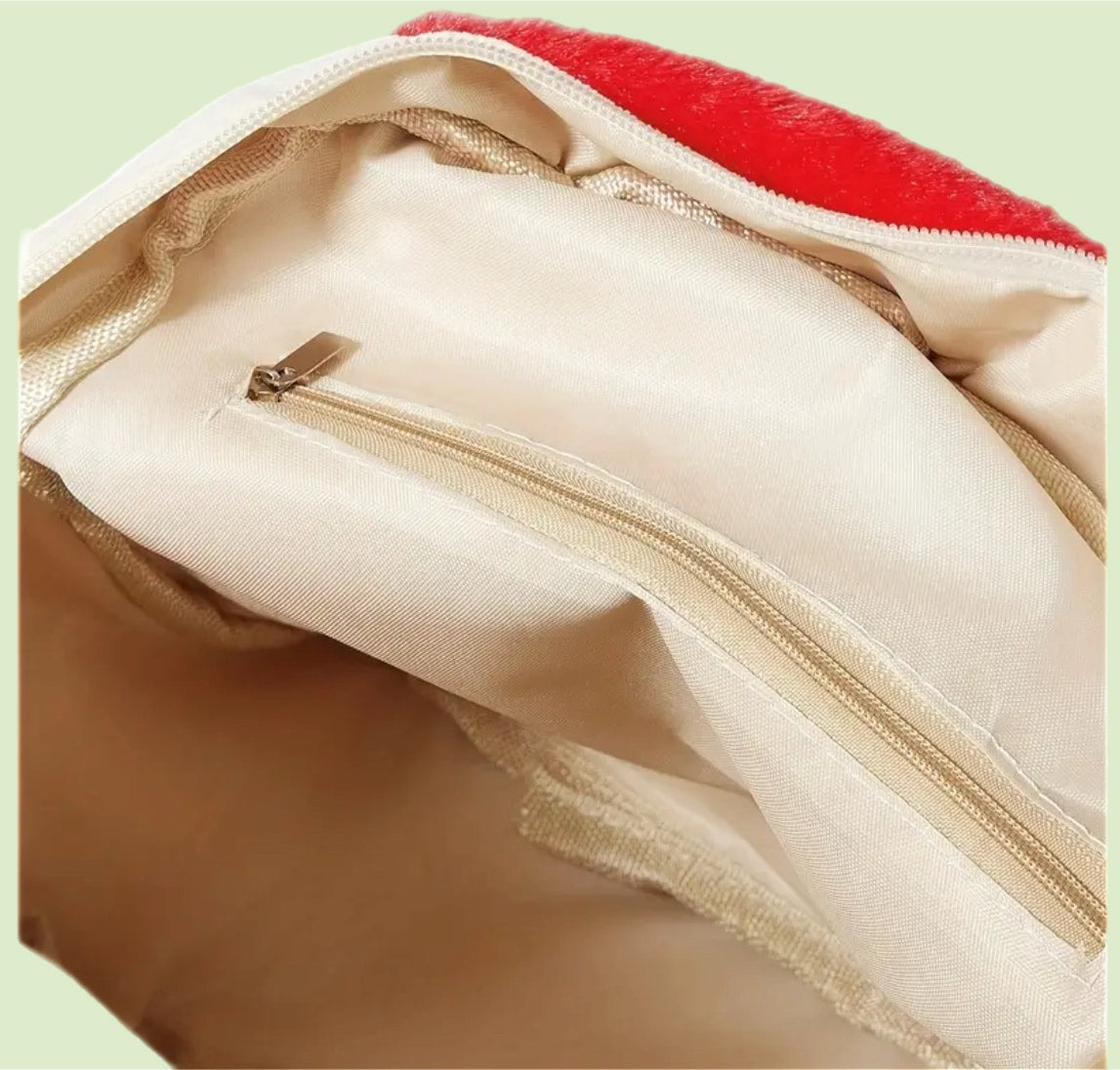 Close-up of a beige pouch with a gold zipper on a light green background