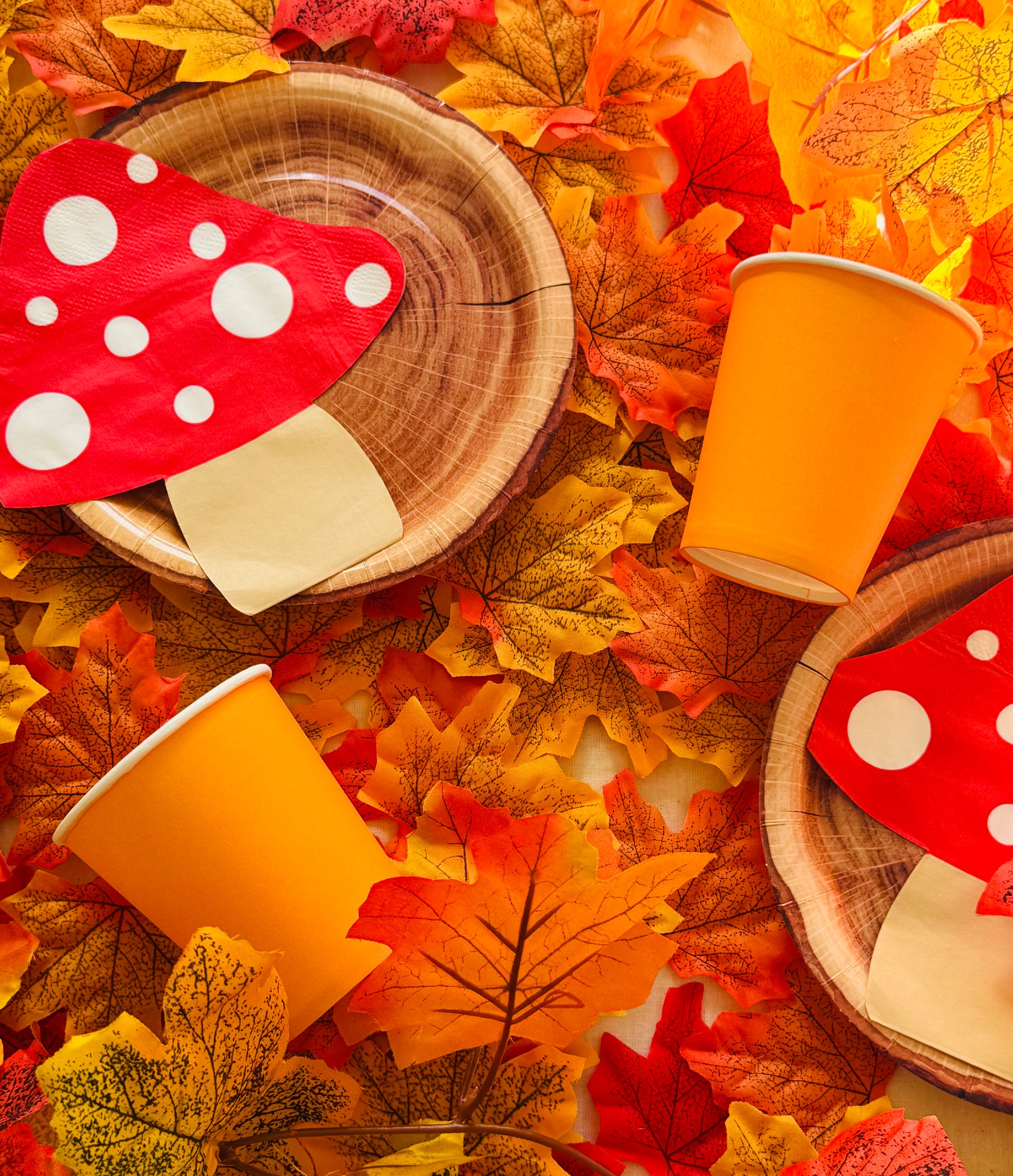 Wooden plates with red mushroom designs on a bed of autumn leaves.