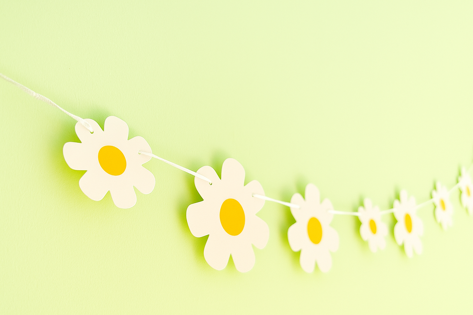Daisy flower party bunting garland 