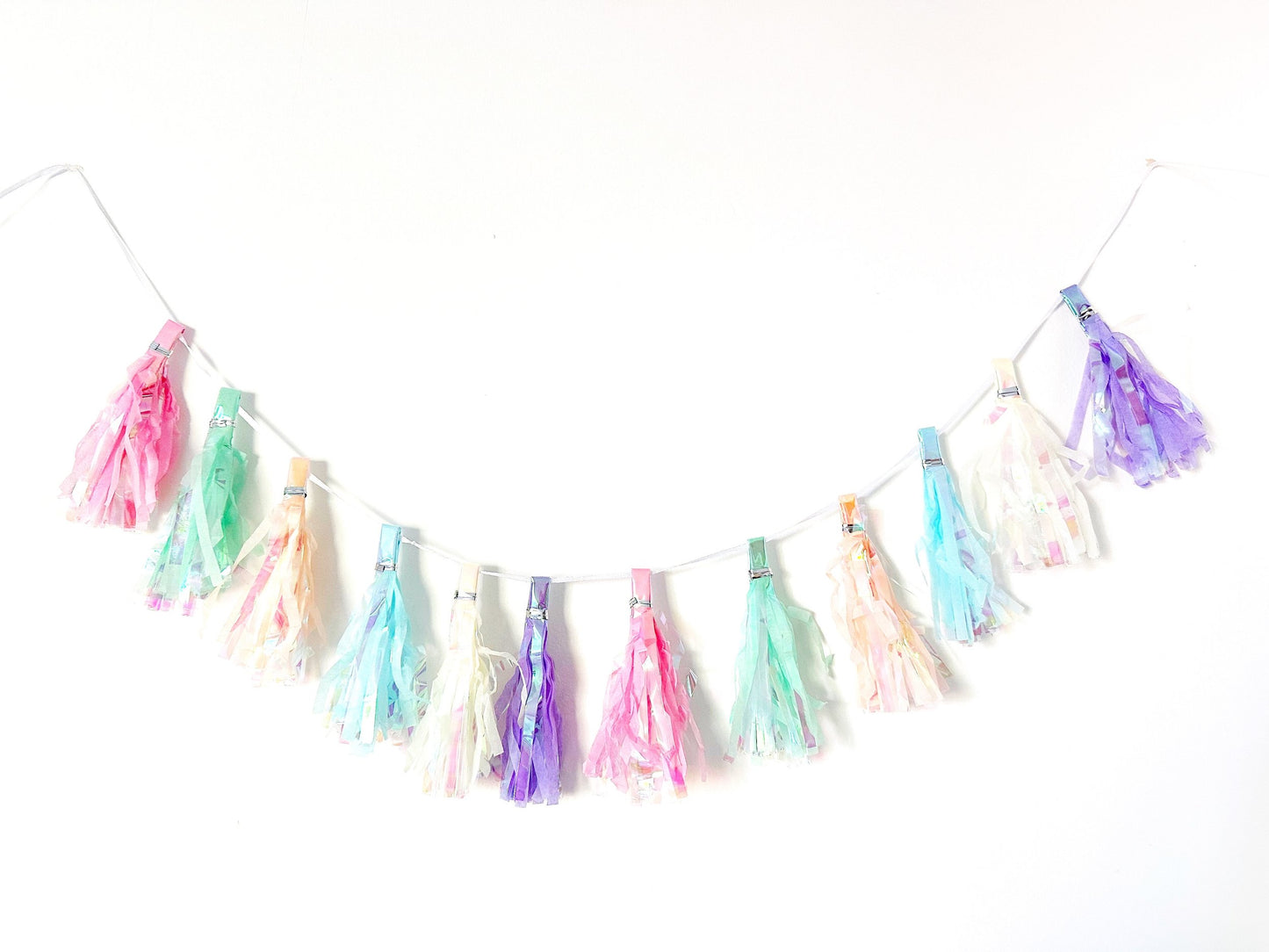 Pastel Iridescent Tassel Garland Bunting Party Decor