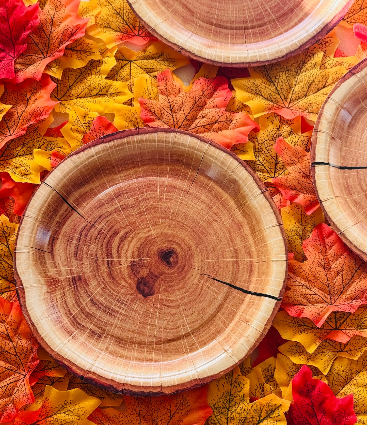 Wood style paper plates on bed of leaves 
